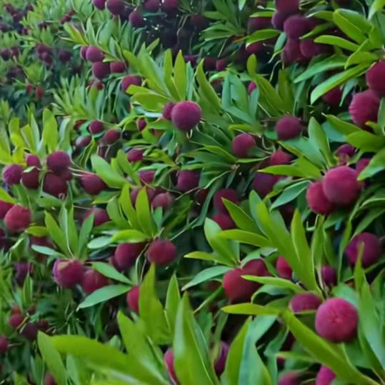 一切随缘《拒绝私聊》