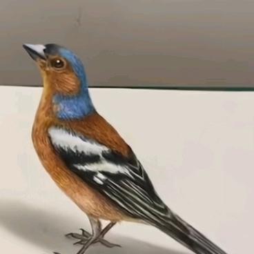 做在海边看美女