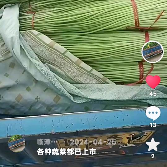 代办各种蔬菜🥬