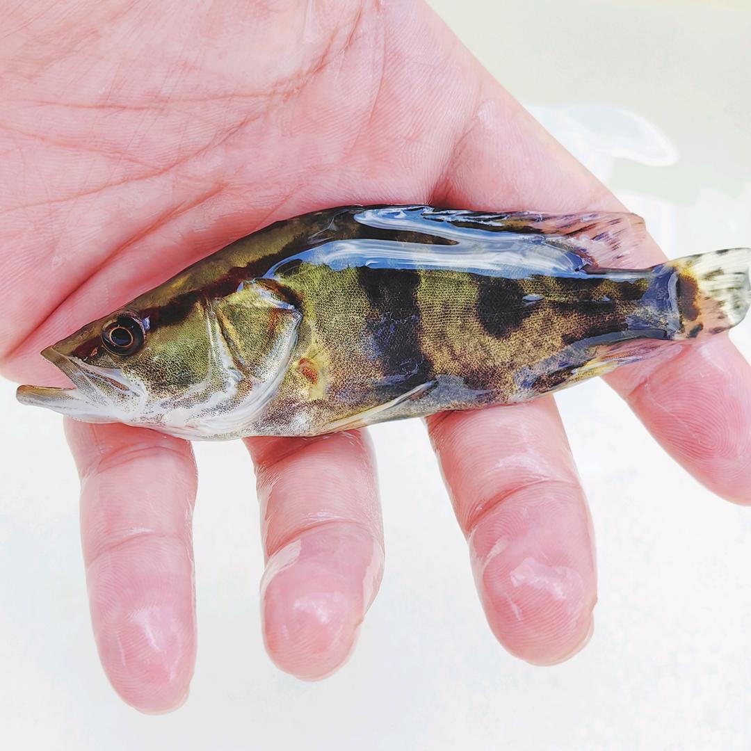 万晨农产品基地