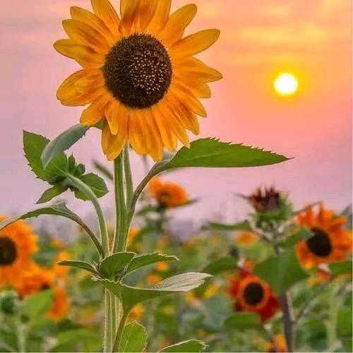 活在当下爱我所爱享我所有