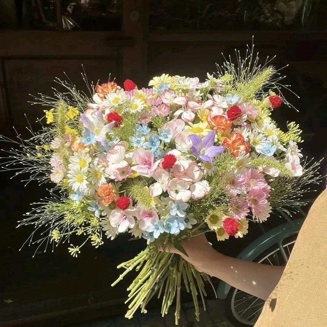 樱桃小丸牜卖孓