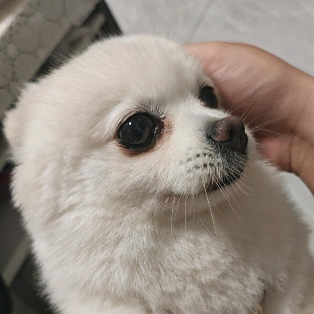 王大锤