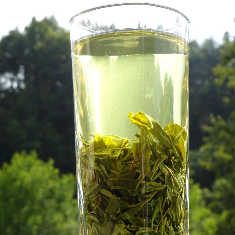 英山绿芽鲜