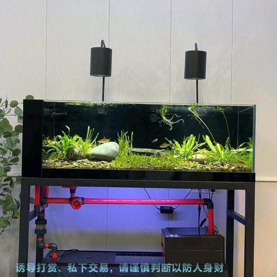 风吹的有点远