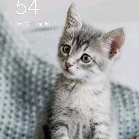 别与他想