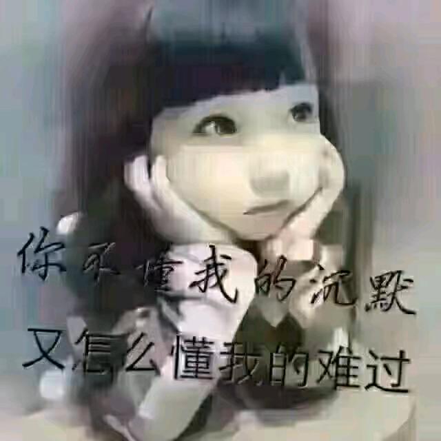 黑曼巴24号