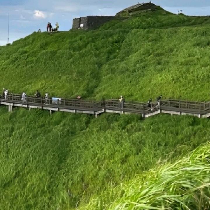 李