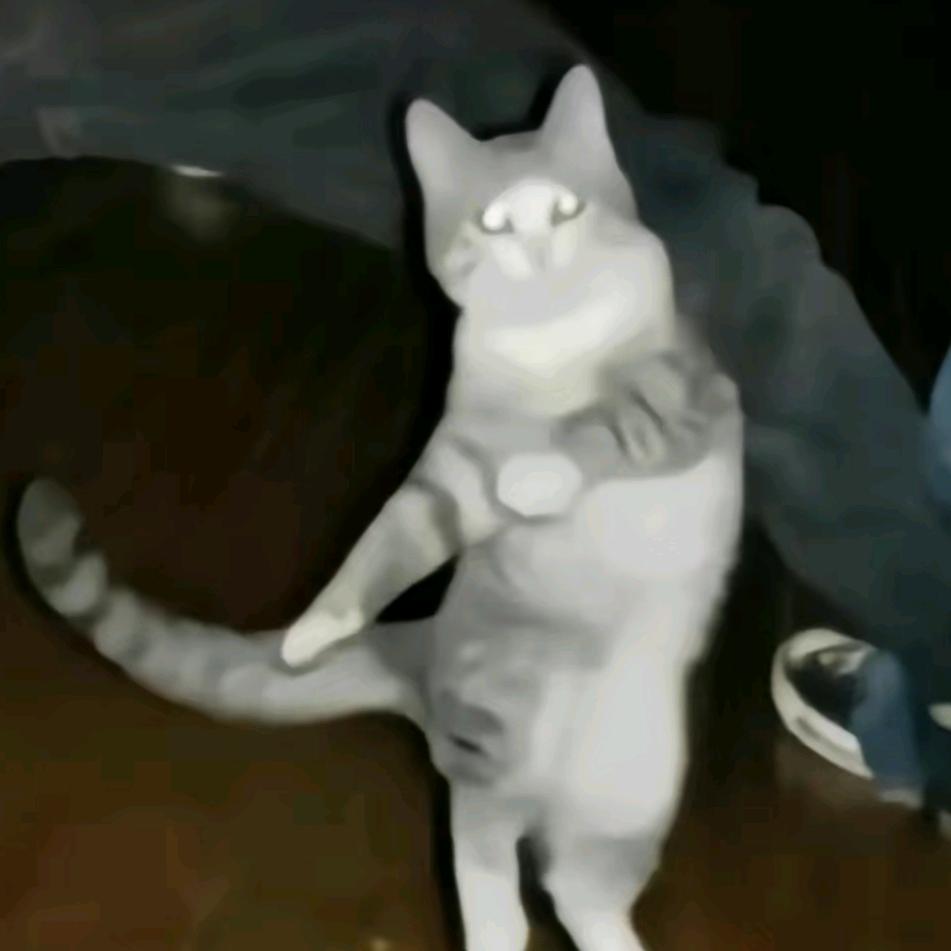 再来一份手抓饼