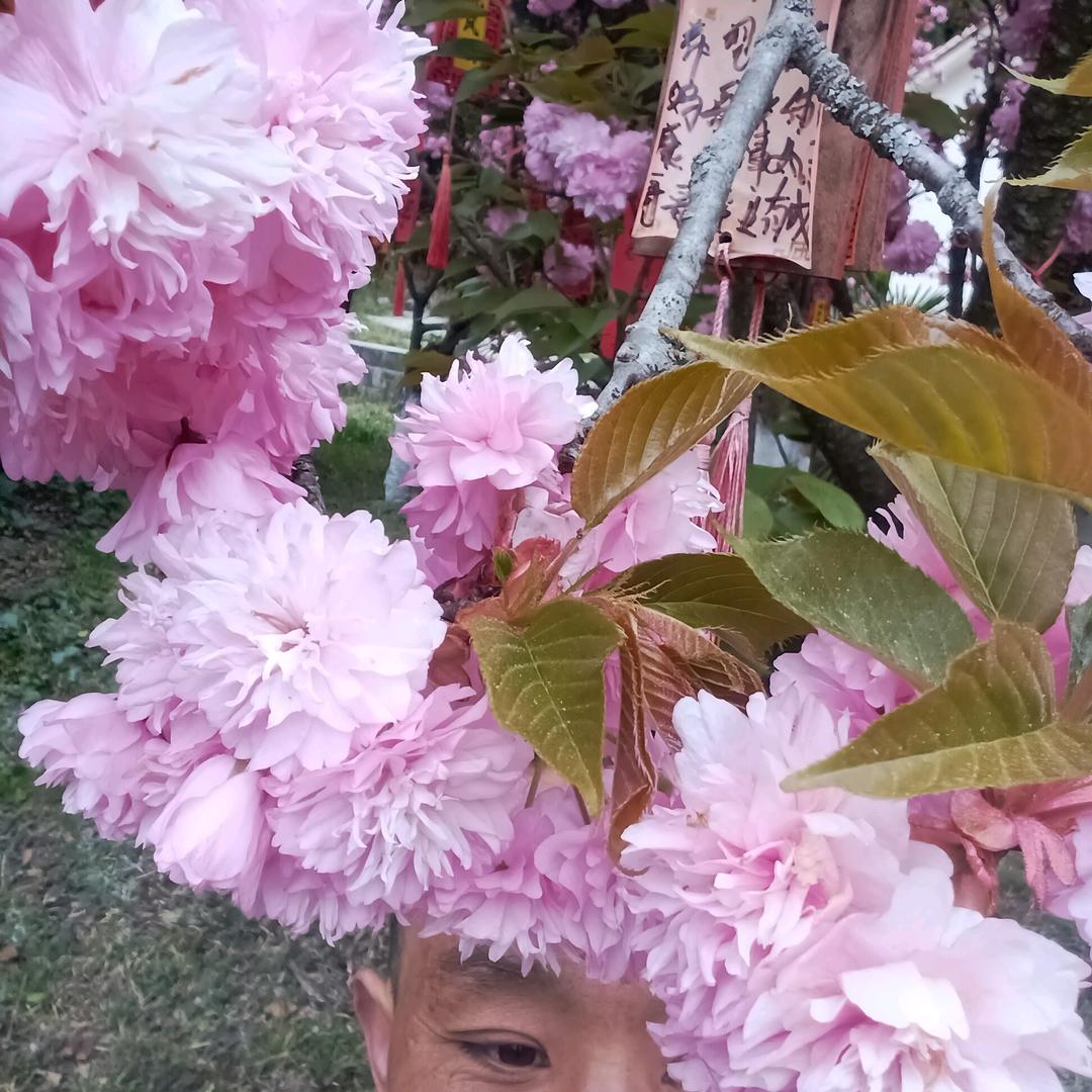 好心情