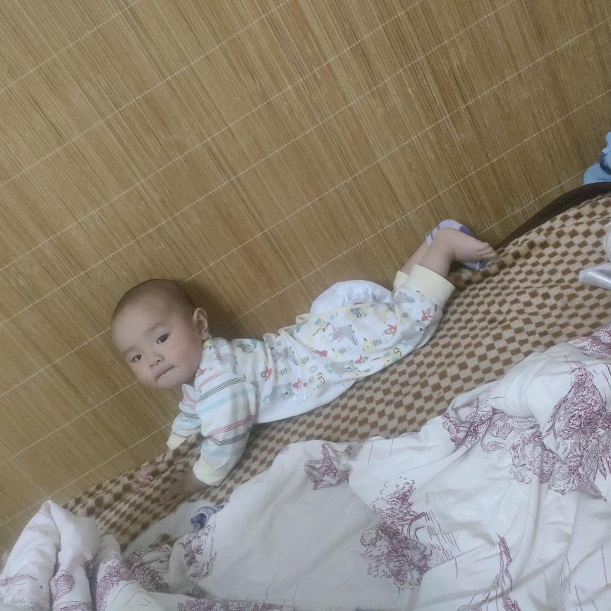 小琴