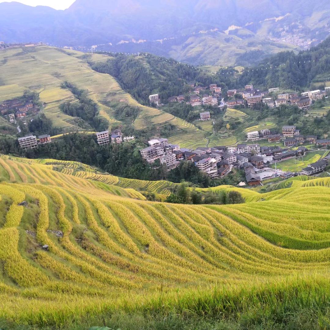 章思富
