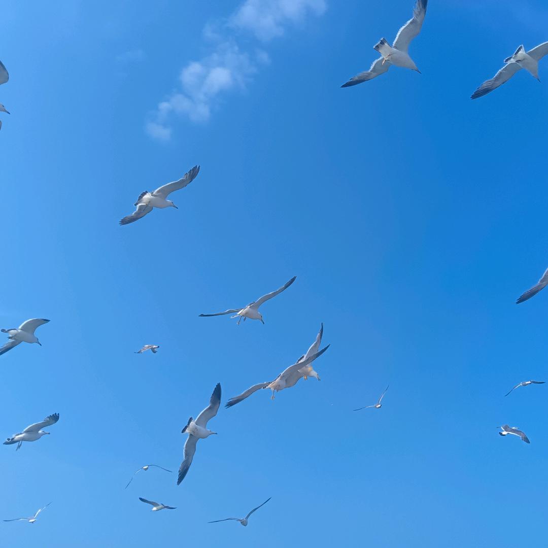 111