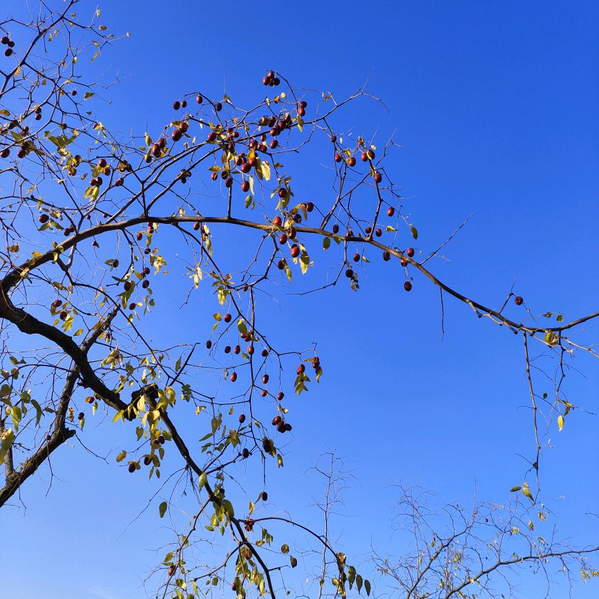 平平安安健健康康快快乐乐