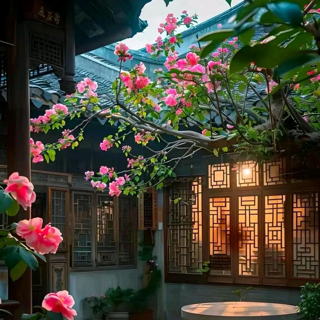 泰州高港房产经纪羊羊羊