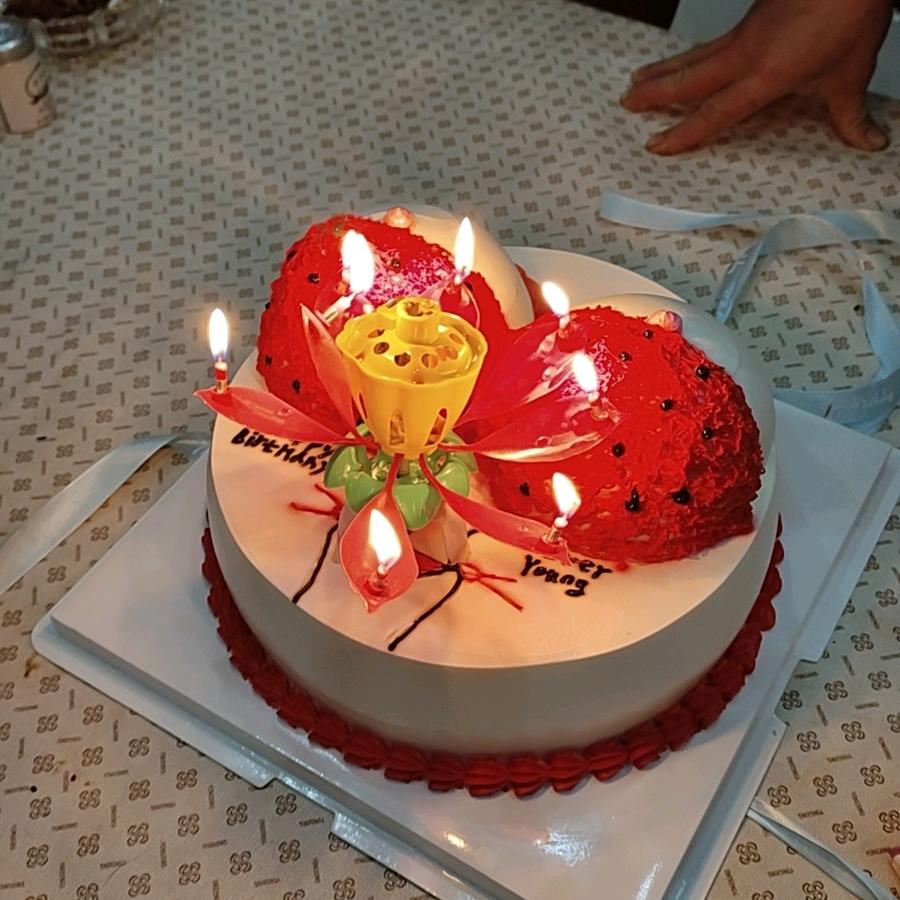 溪尾豆腐厂现在种玉竹了