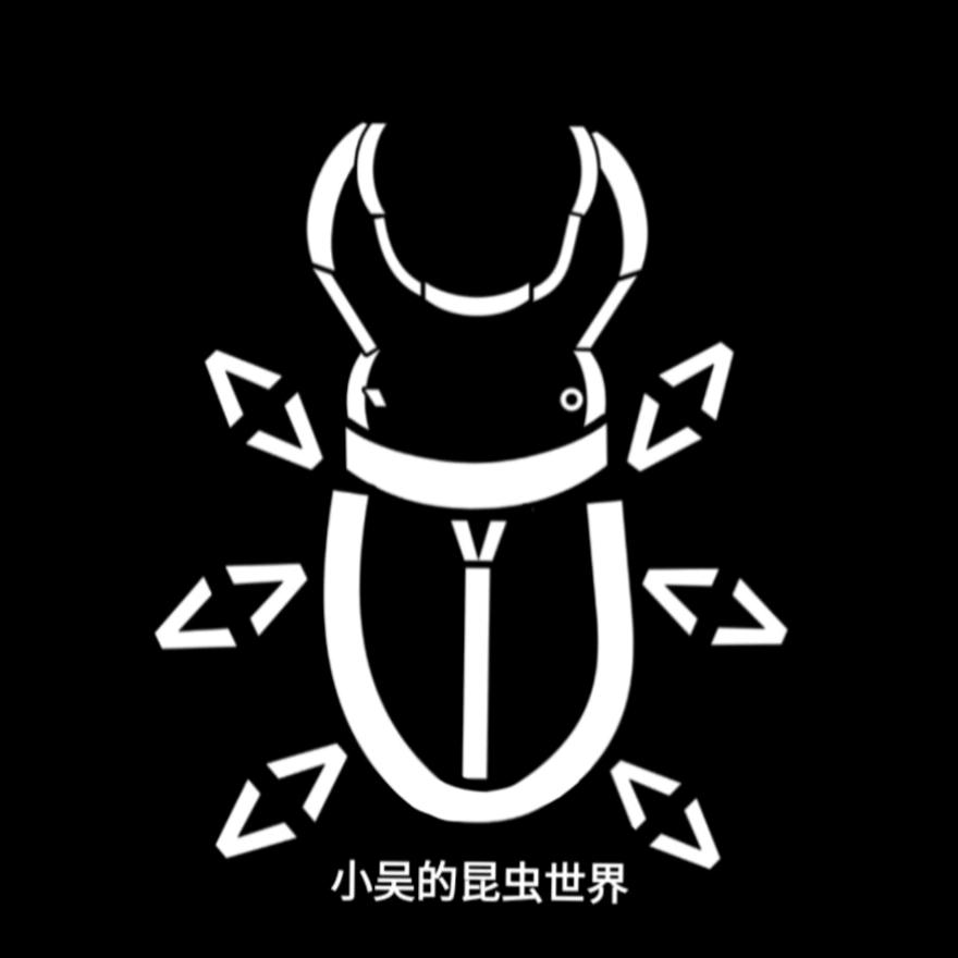 小吴的昆虫世界