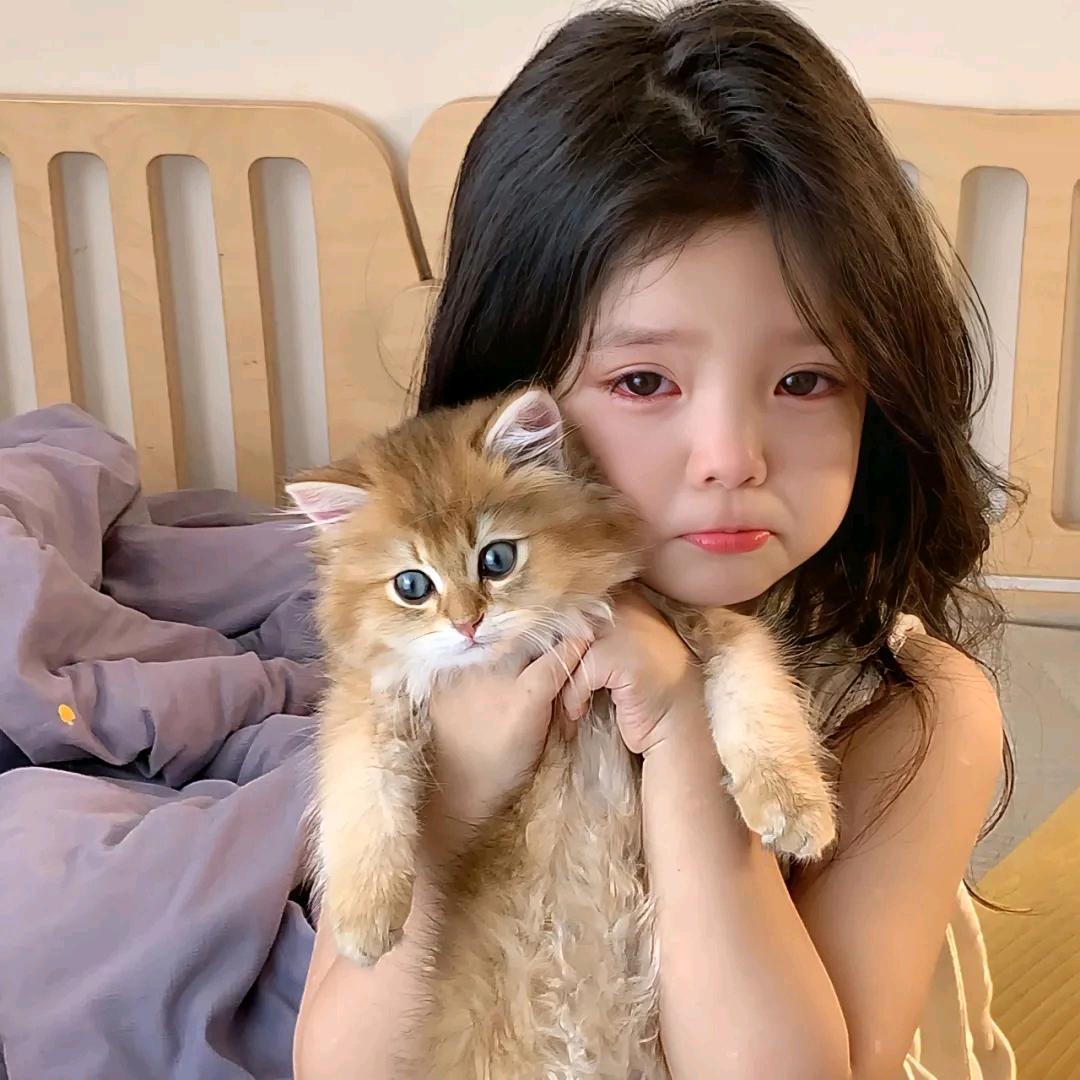 小小摆烂家^O^