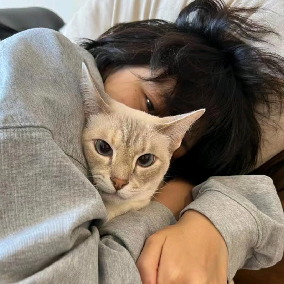 叁拾壹.