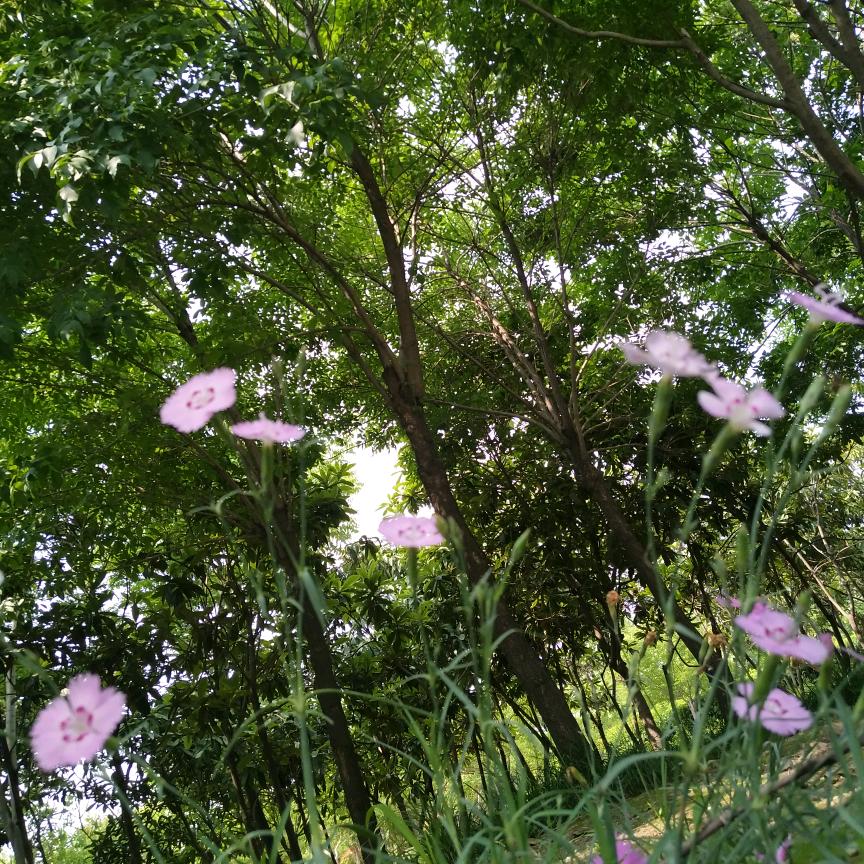 农村人-至善清源