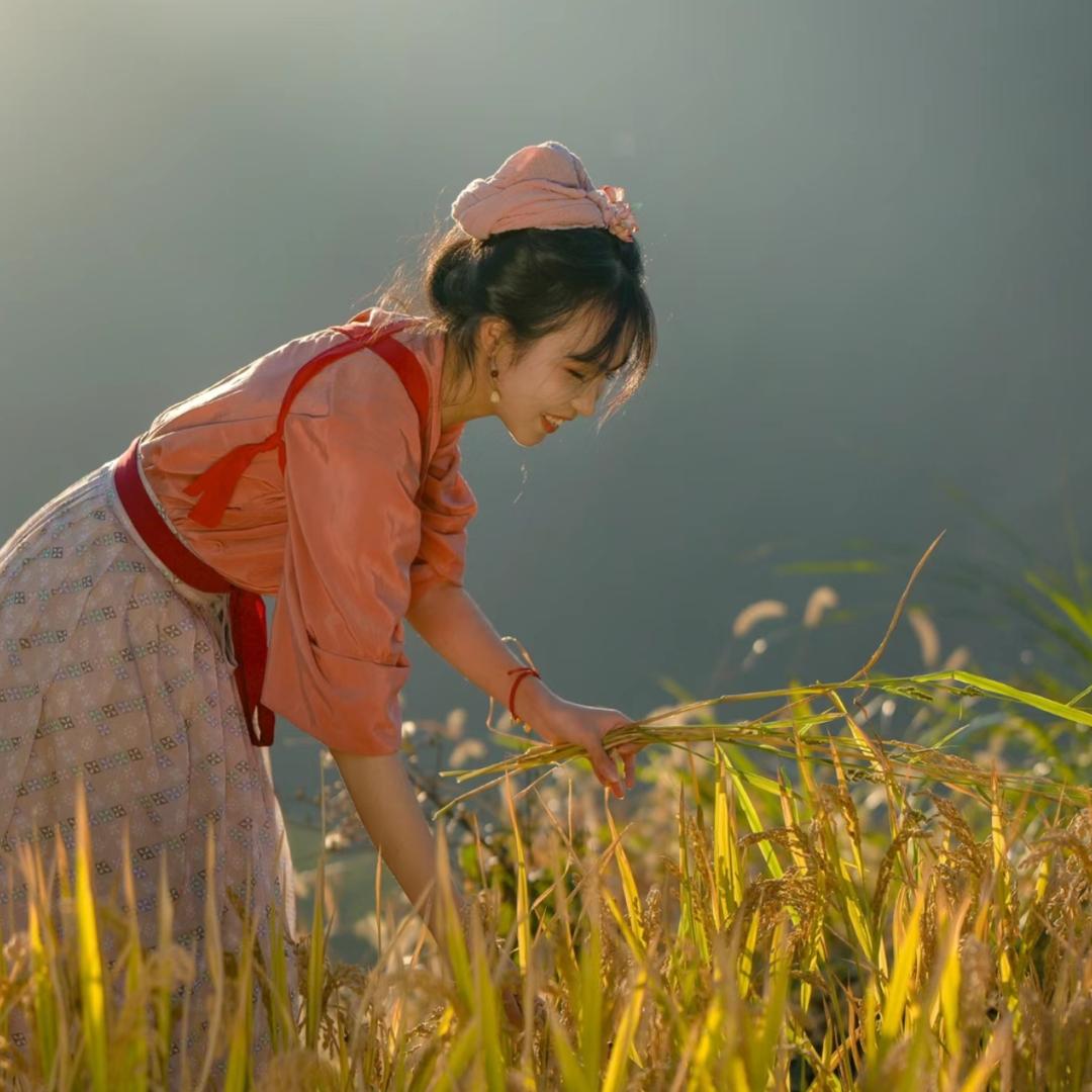 🌸花花☆爱种植