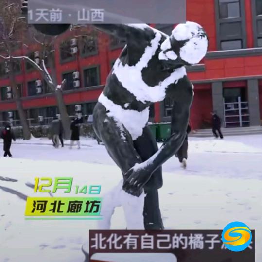 可可西里   保护藏羚羊牦牛