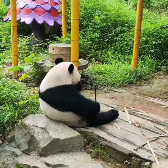 暧麻商贸