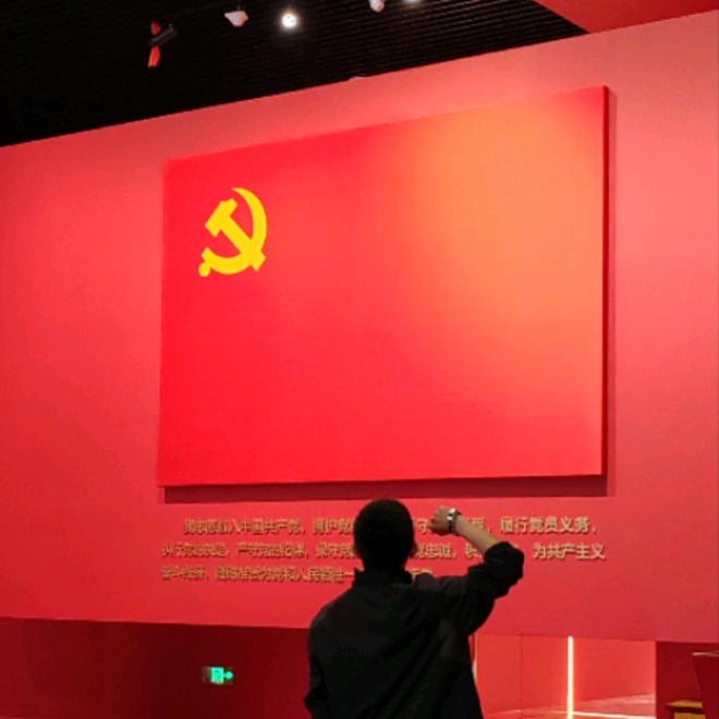 小龙的执着