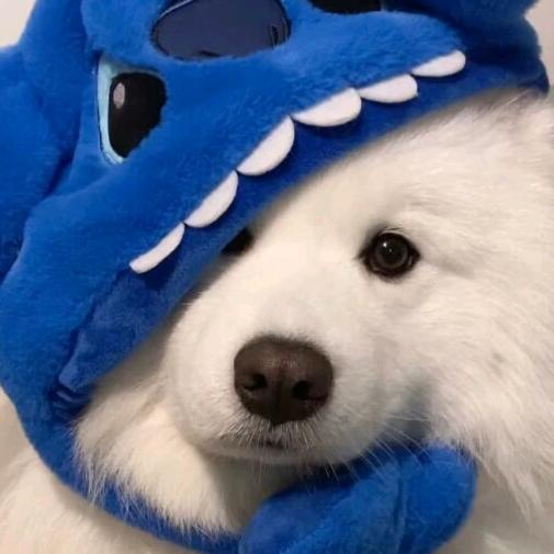 热乎乎VBVBvvvvvv