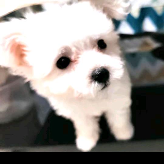 💗᭄余生ᝰᩚ随心ꦿ