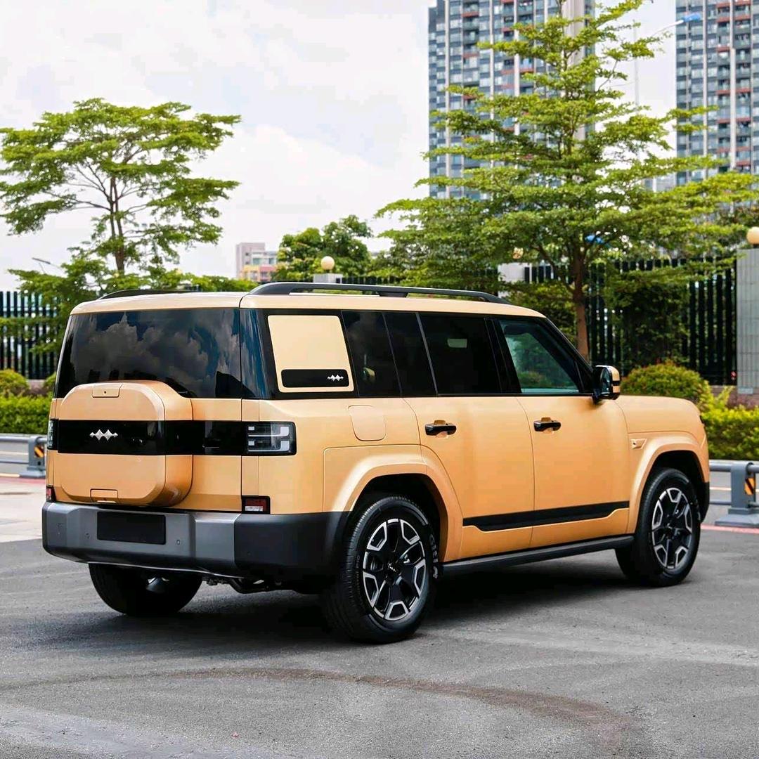 廊坊方程豹-阿悦