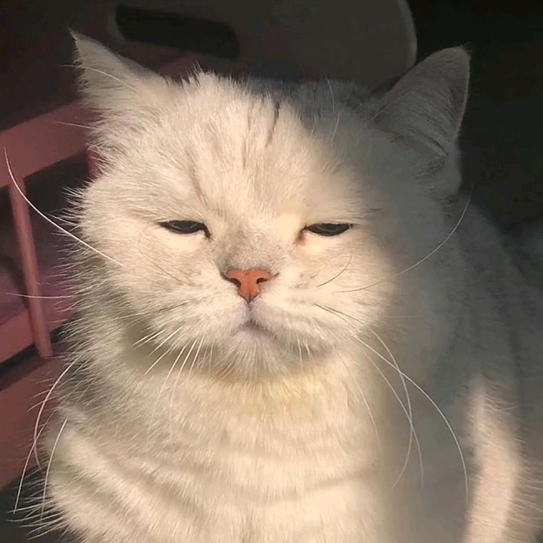 Z.