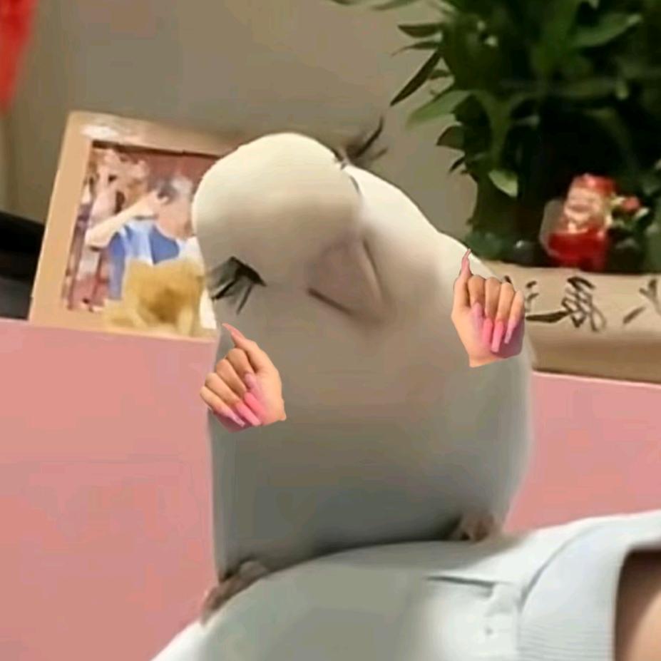 啊正