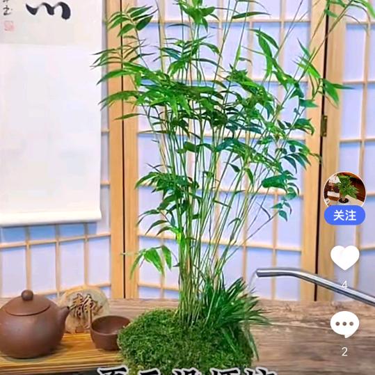 好运降临