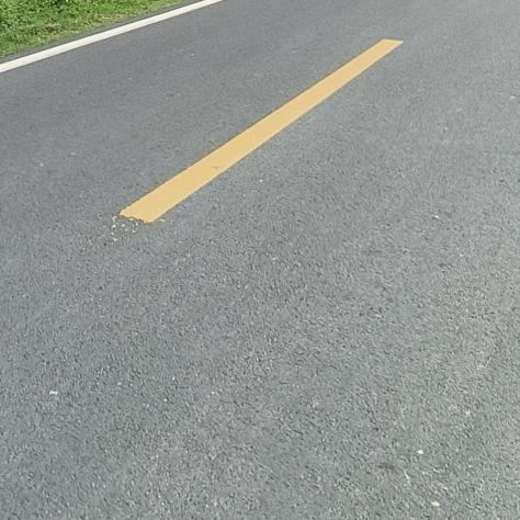 恹恹欲睡