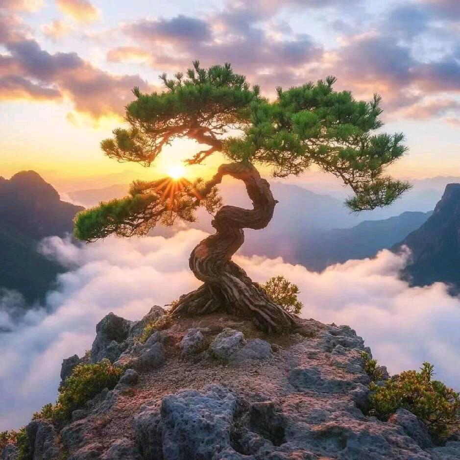 李富源烧烤