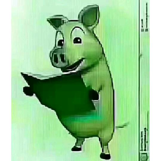 一🈚所有