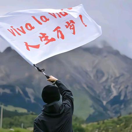摆摆