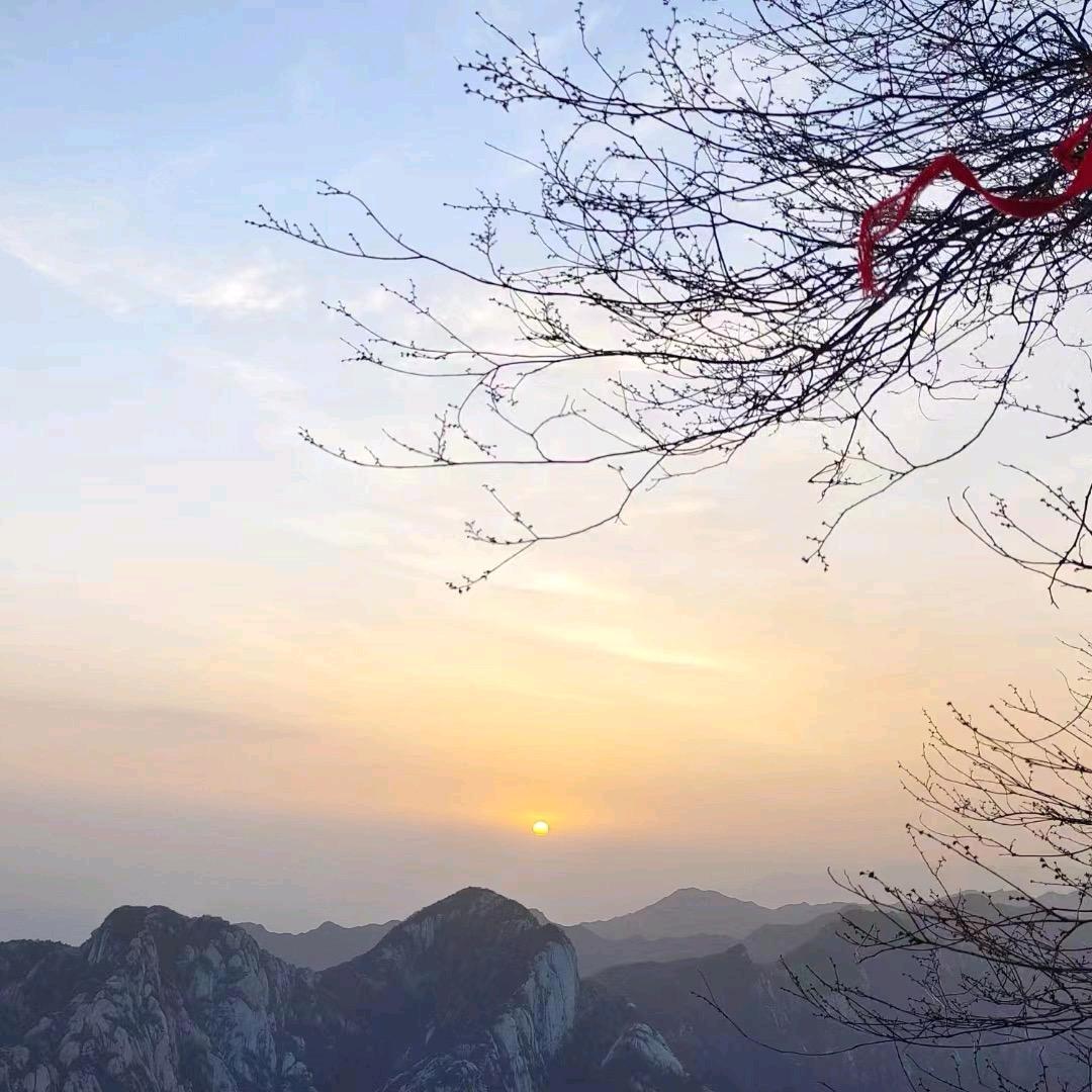 睡不着丶睡不醒