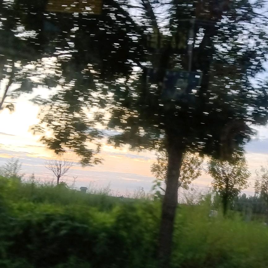 小烤鱼⁹²⁸