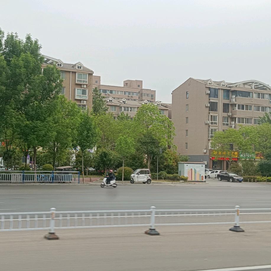 ❄️❄️🌸✨✨