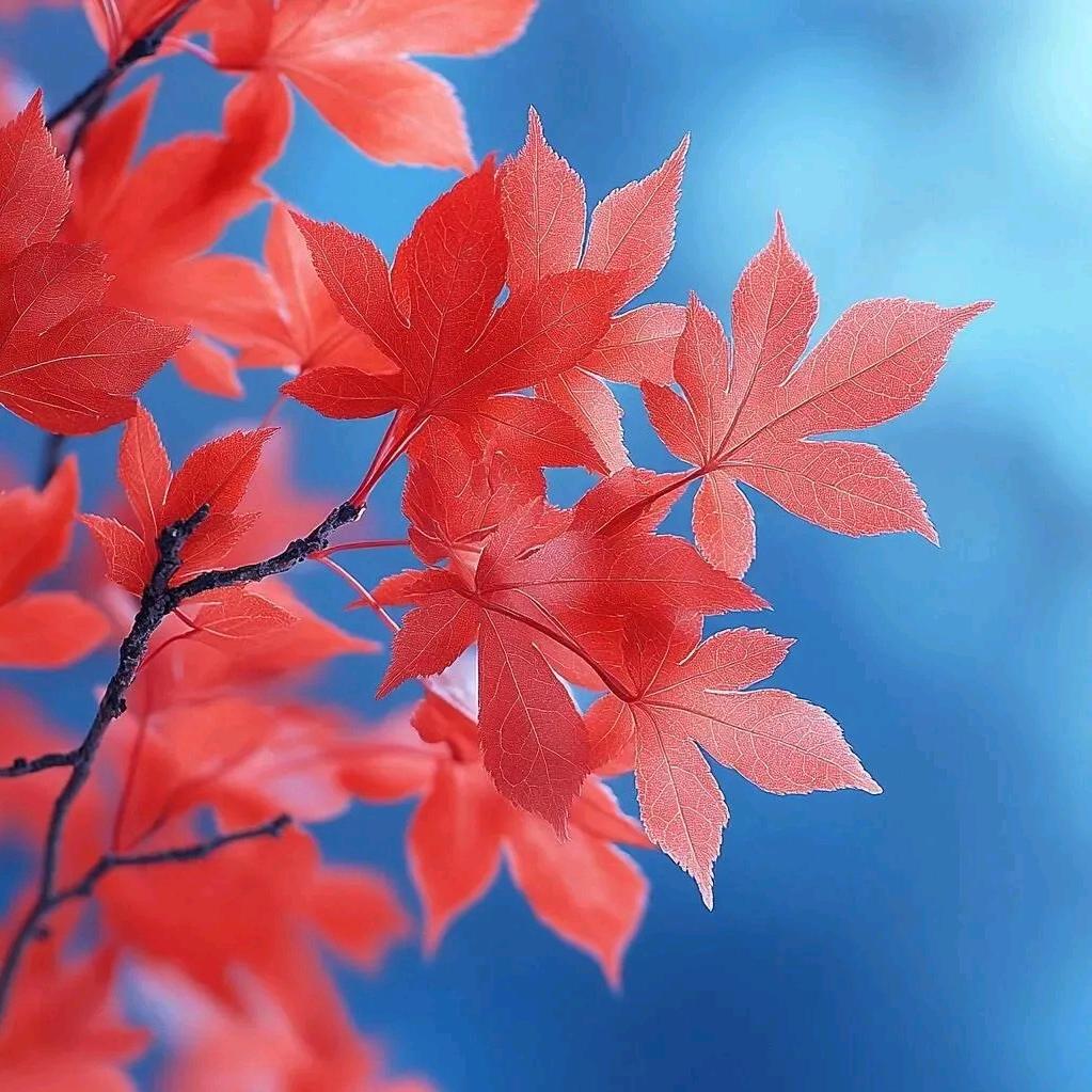 珊珊