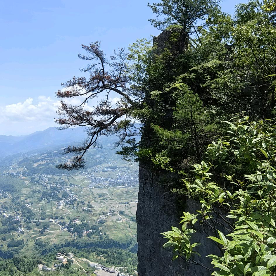 玉柱