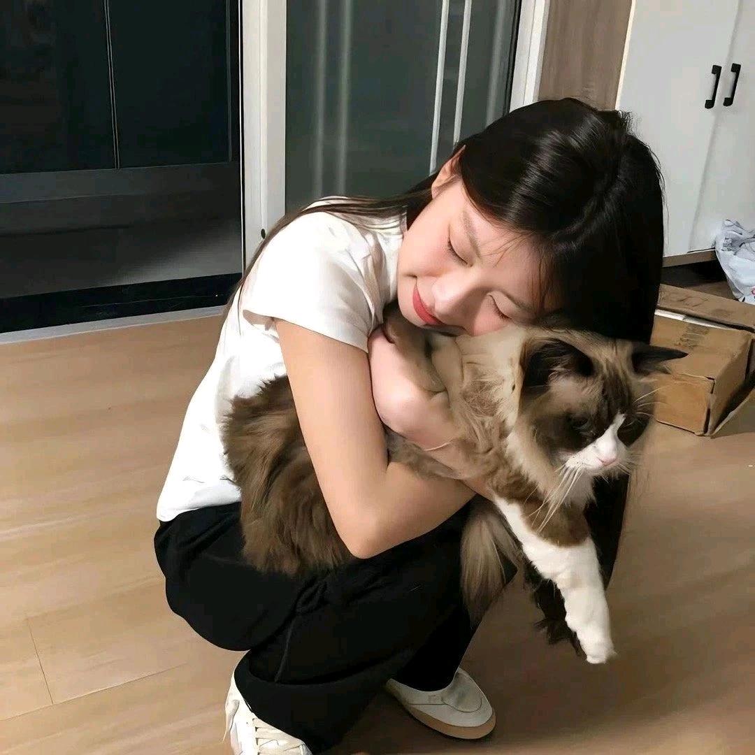 卡夫卡的熊