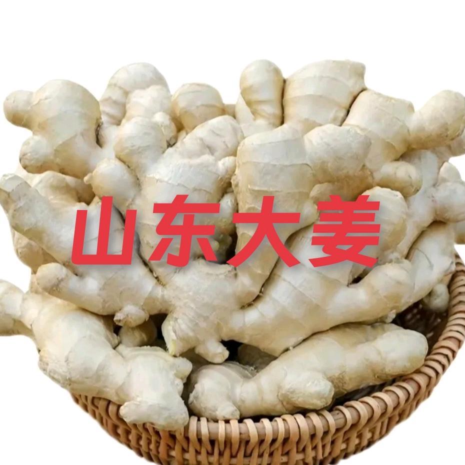 姜二哥（收姜）