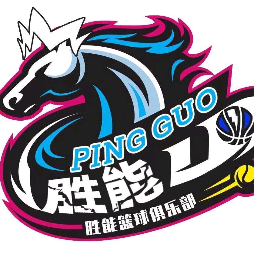 平果胜能篮球业余体校