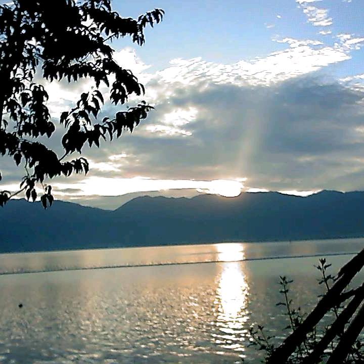 🌷不离不弃🌹