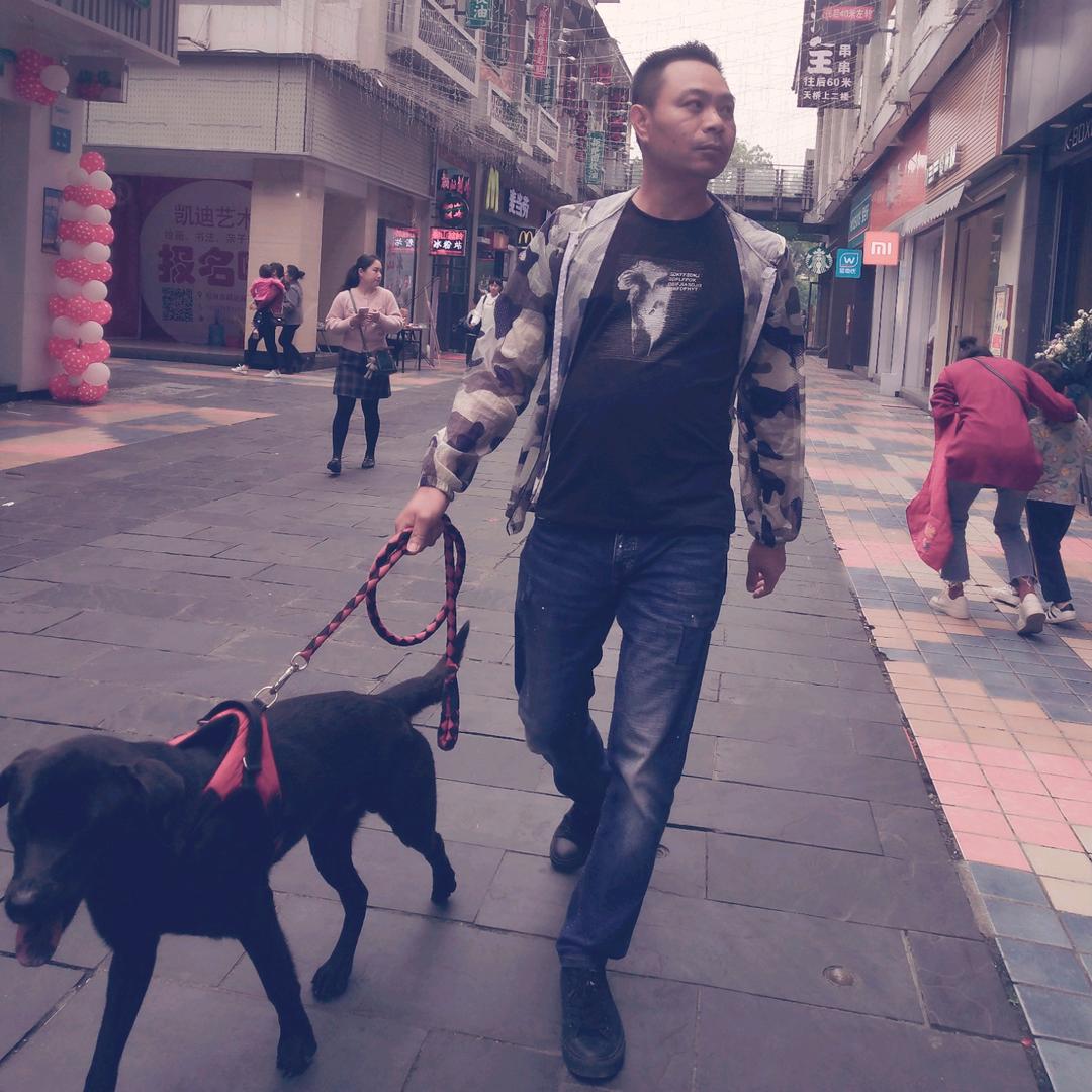 观察员