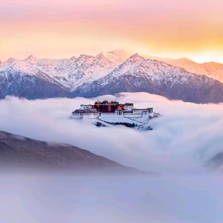 你💐我🍎也🦋