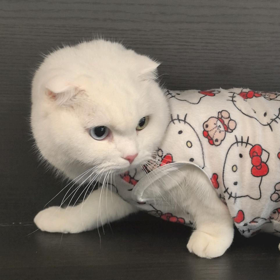 拉屎拉出金针菇